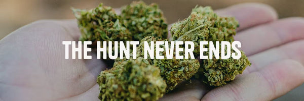 Hand holding cbd flower with the text 'the hunt never ends'.