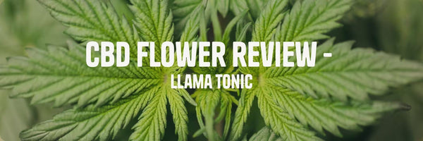 green hemp leaf with white text 'cbd flower review - llama tonic'.