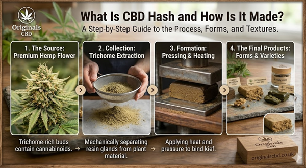 What Is CBD Hash and How Is It Made? Methods, Microns, Filtration, and Common Types