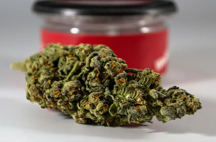 Is CBD Legal in the UK? Answers to Common Questions