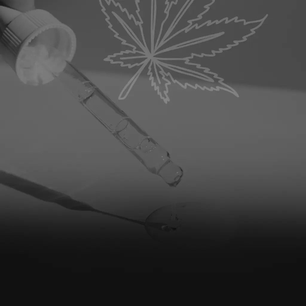 CBD Oils - Full-Spectrum Hemp Extracts for Balance, Clarity & Everyday Wellness