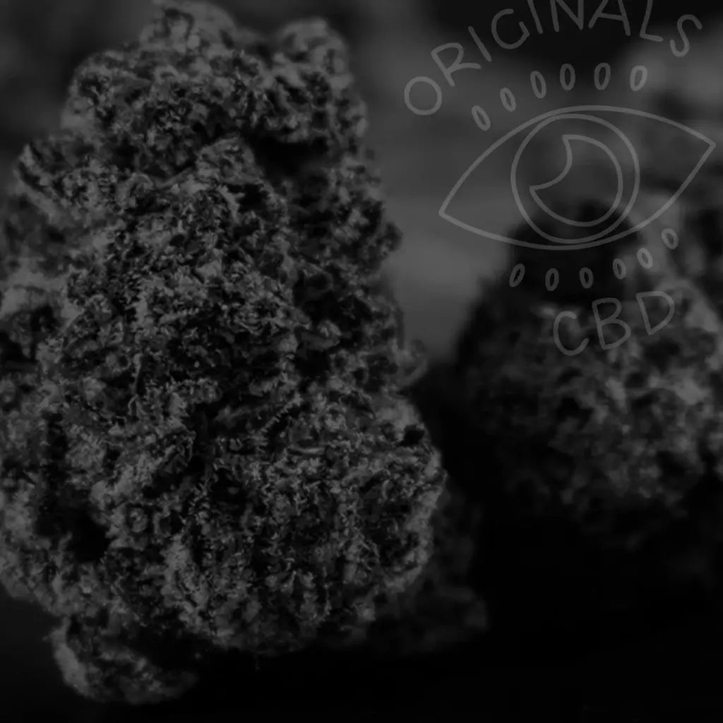 Archive - Past Drops, Timeless CBD Classics