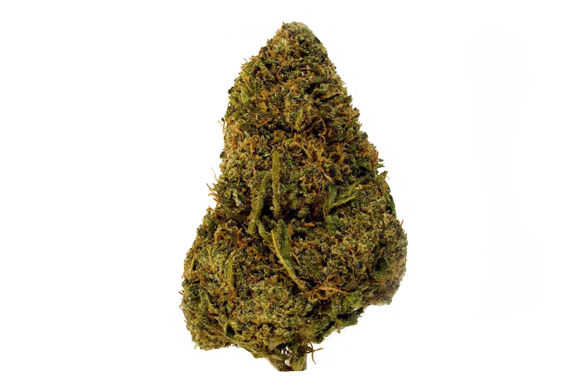 Big Apple Jacks Herbal Tea