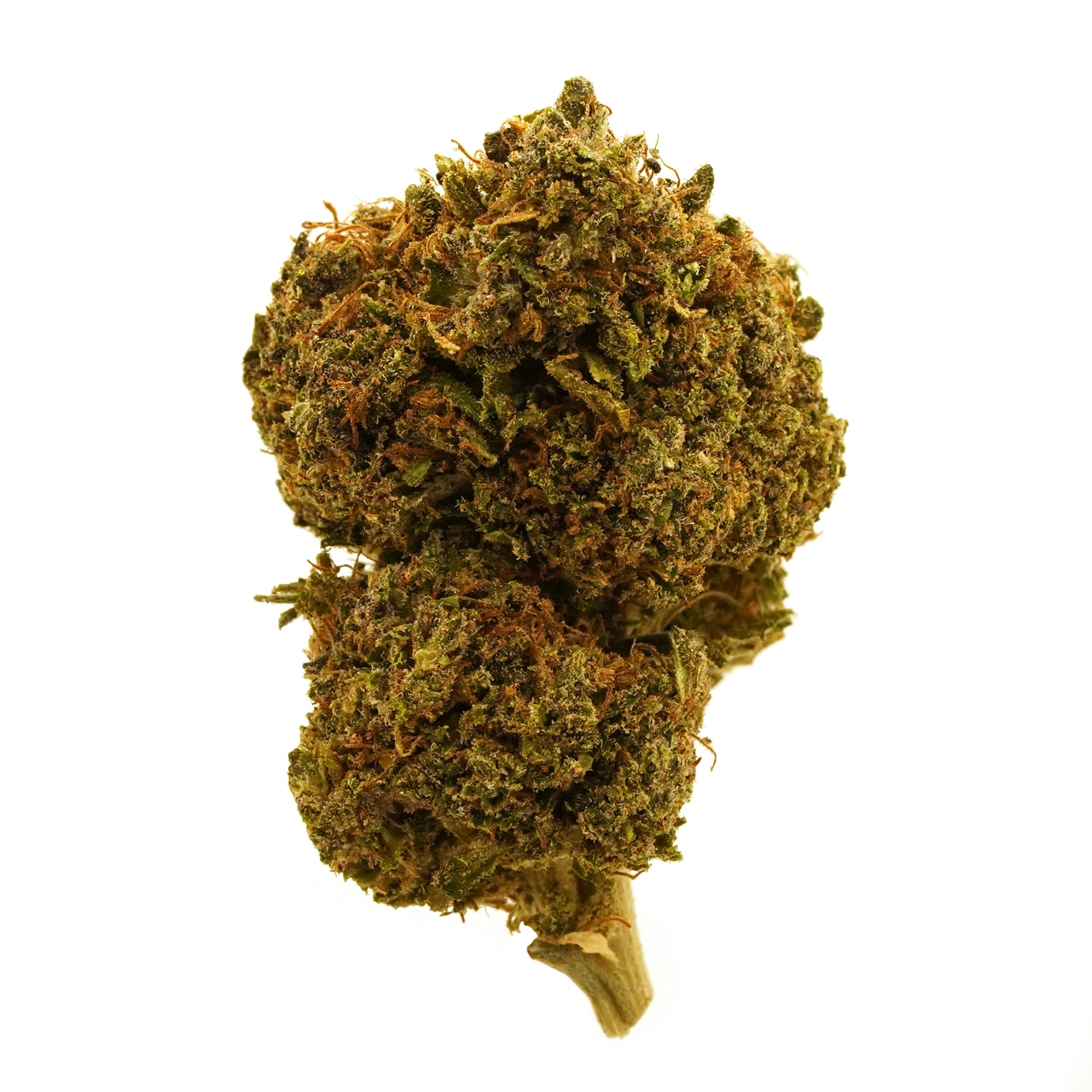 Legendary Platinum OG Herbal Tea