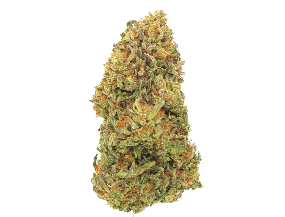 USA Outdoor Sun grown Hemp Flower Paradise OG CBD Flower in The UK
