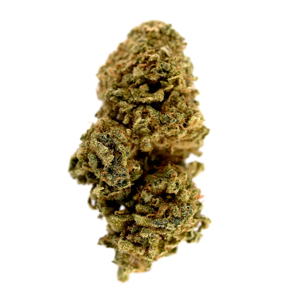 Platinum OG Herbal Tea