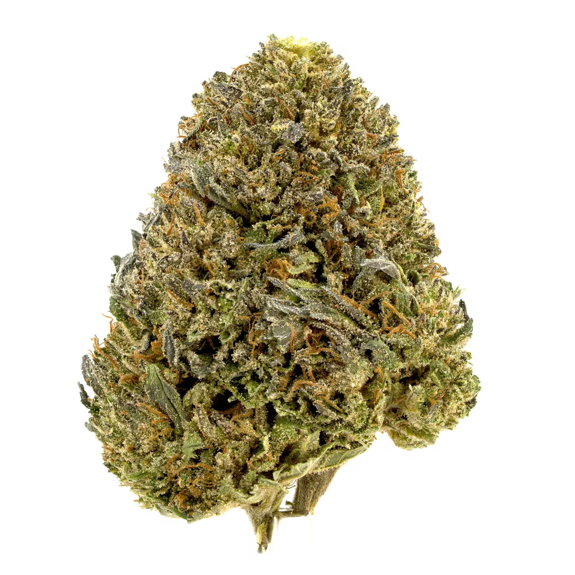 This is a picture of classic indica‑dominant Oregon’s Sun grown CBD hemp strain, Bubba Kush 59 CBD flower with white background.