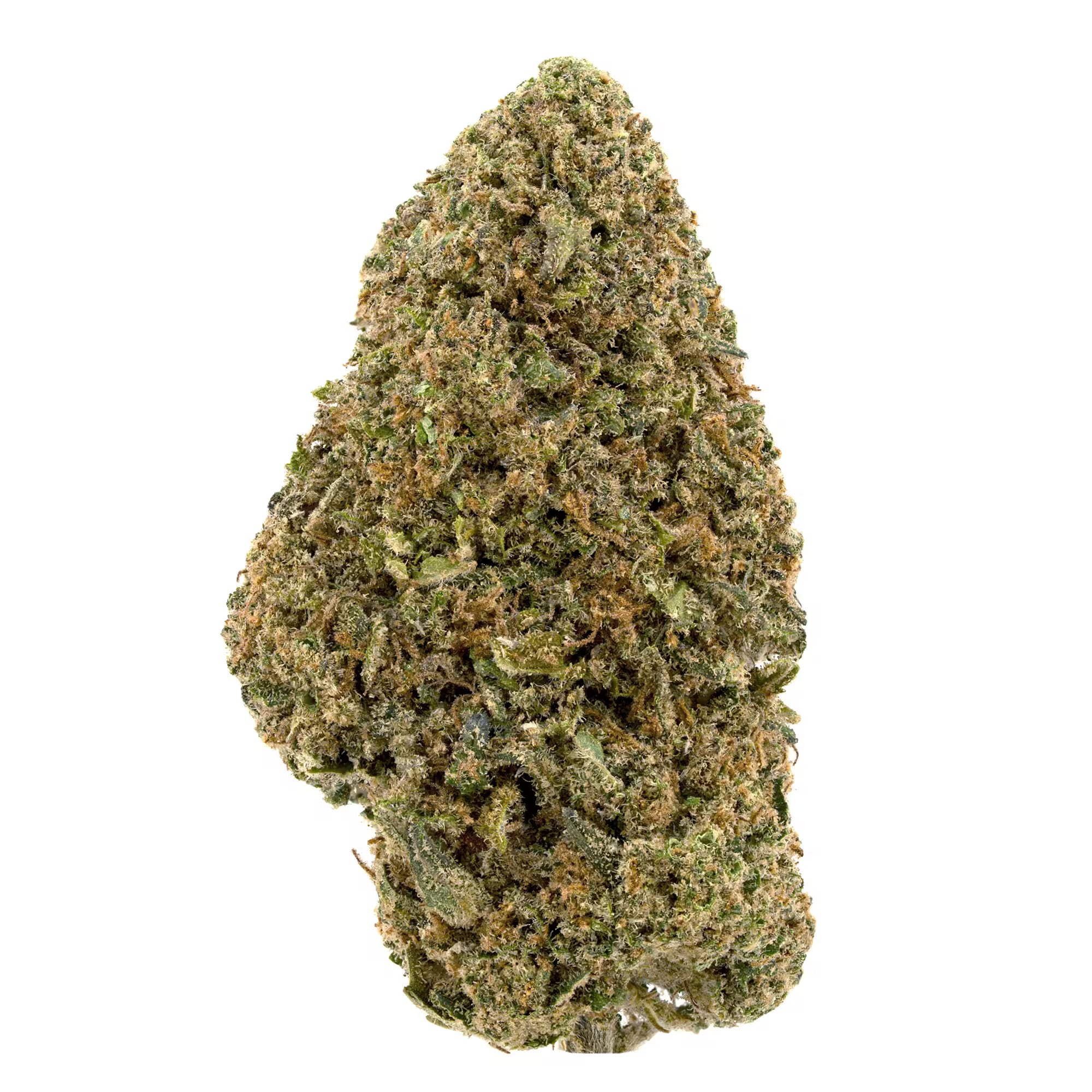 This is a full view of Critical Berries CBD Flower. A flavour-forward hybrid bred Hemp Bud with White Background On.
