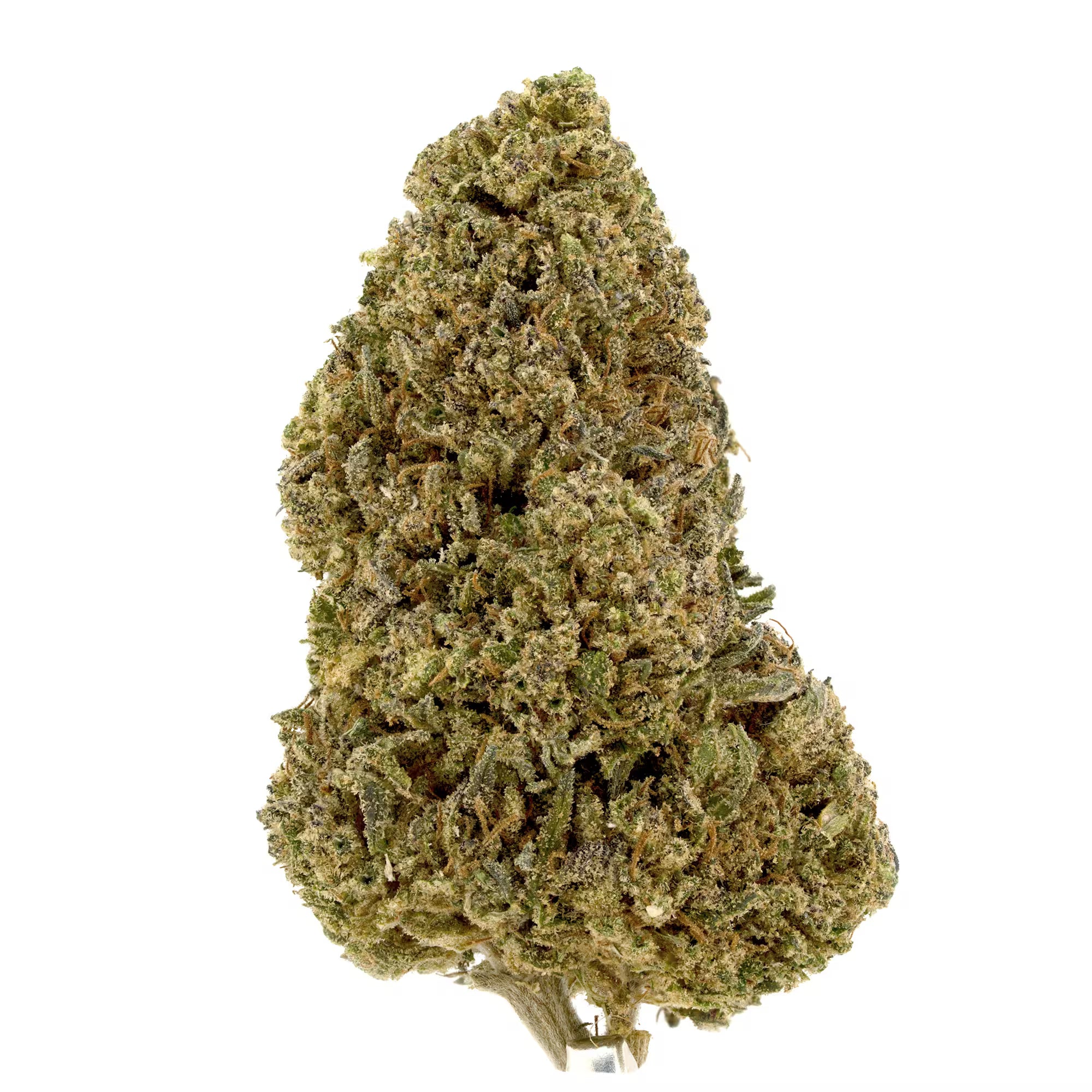 This is a picture of Fyre OG CBD flower You can See the Full Bud with White Background On.