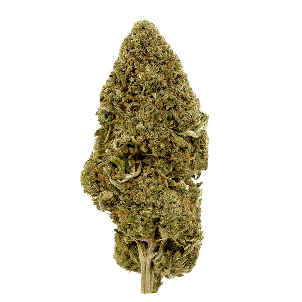 Lavender Cupcakes CBD Flower Sun grown