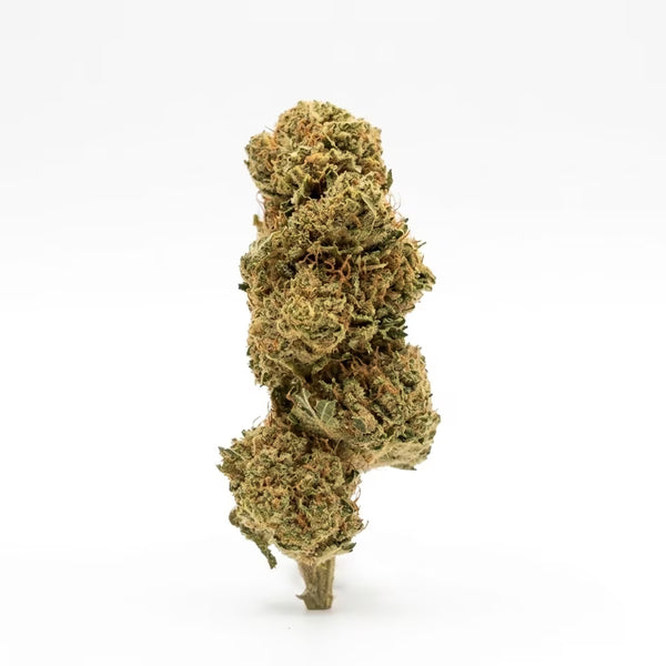 Orange Bud CBD Flower