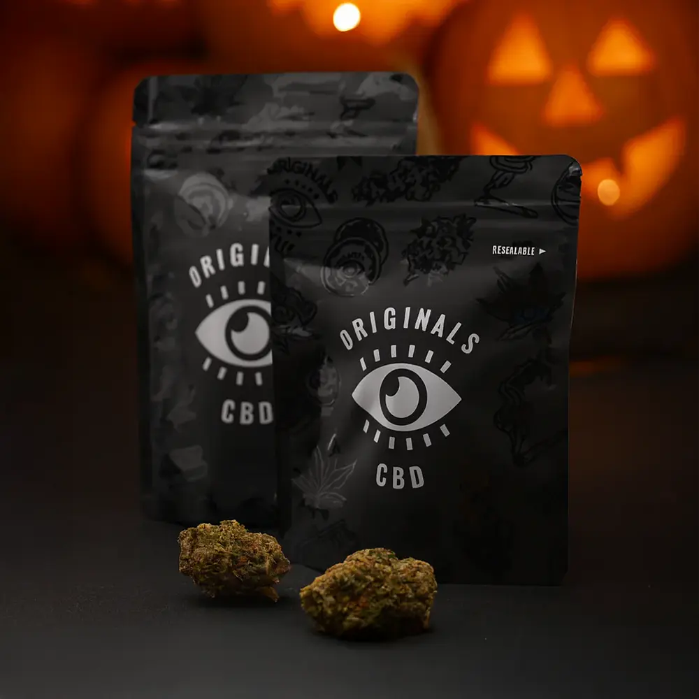 Trick or Treat Bag - Limited Edition Mystery Bundle