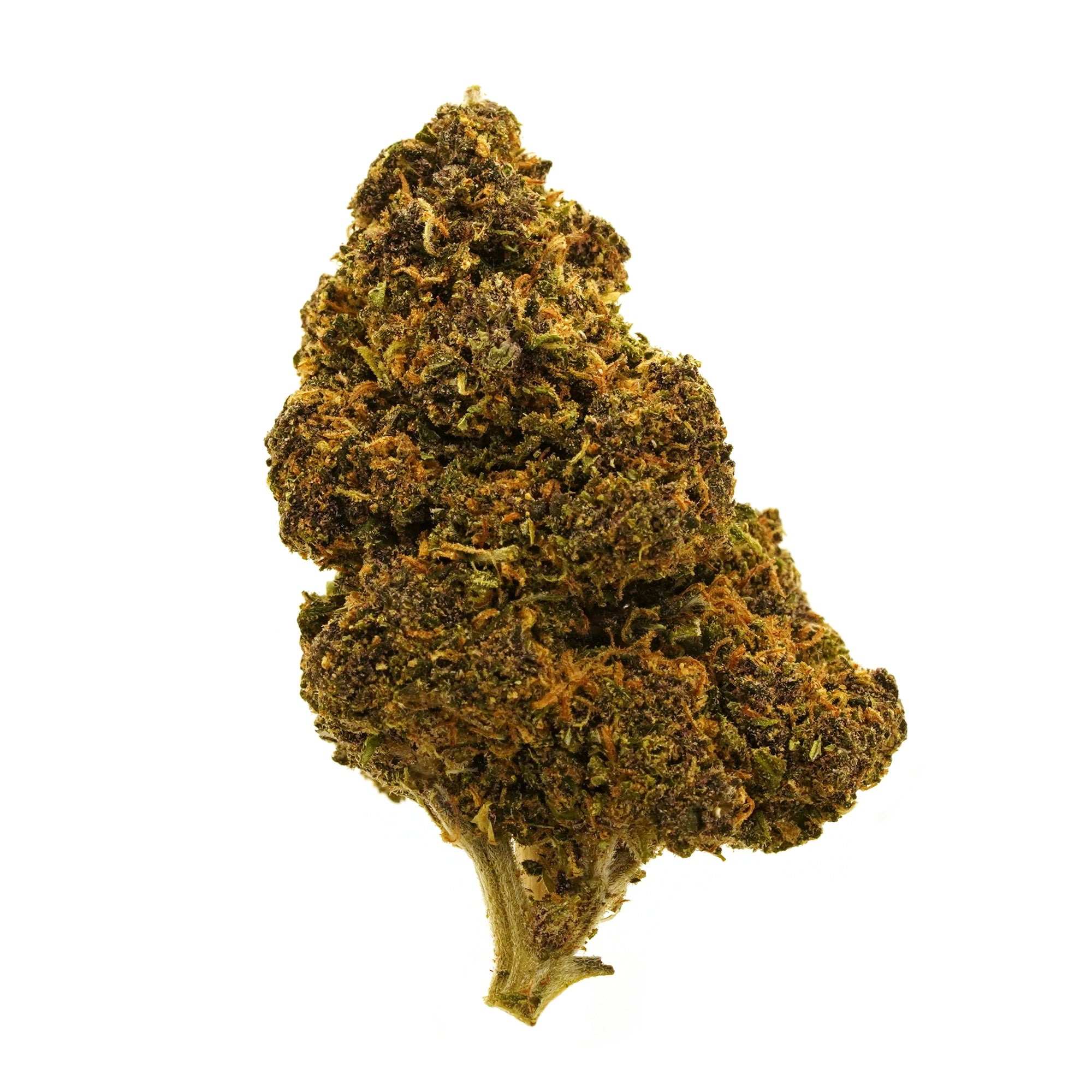 Pink Panther Herbal Tea