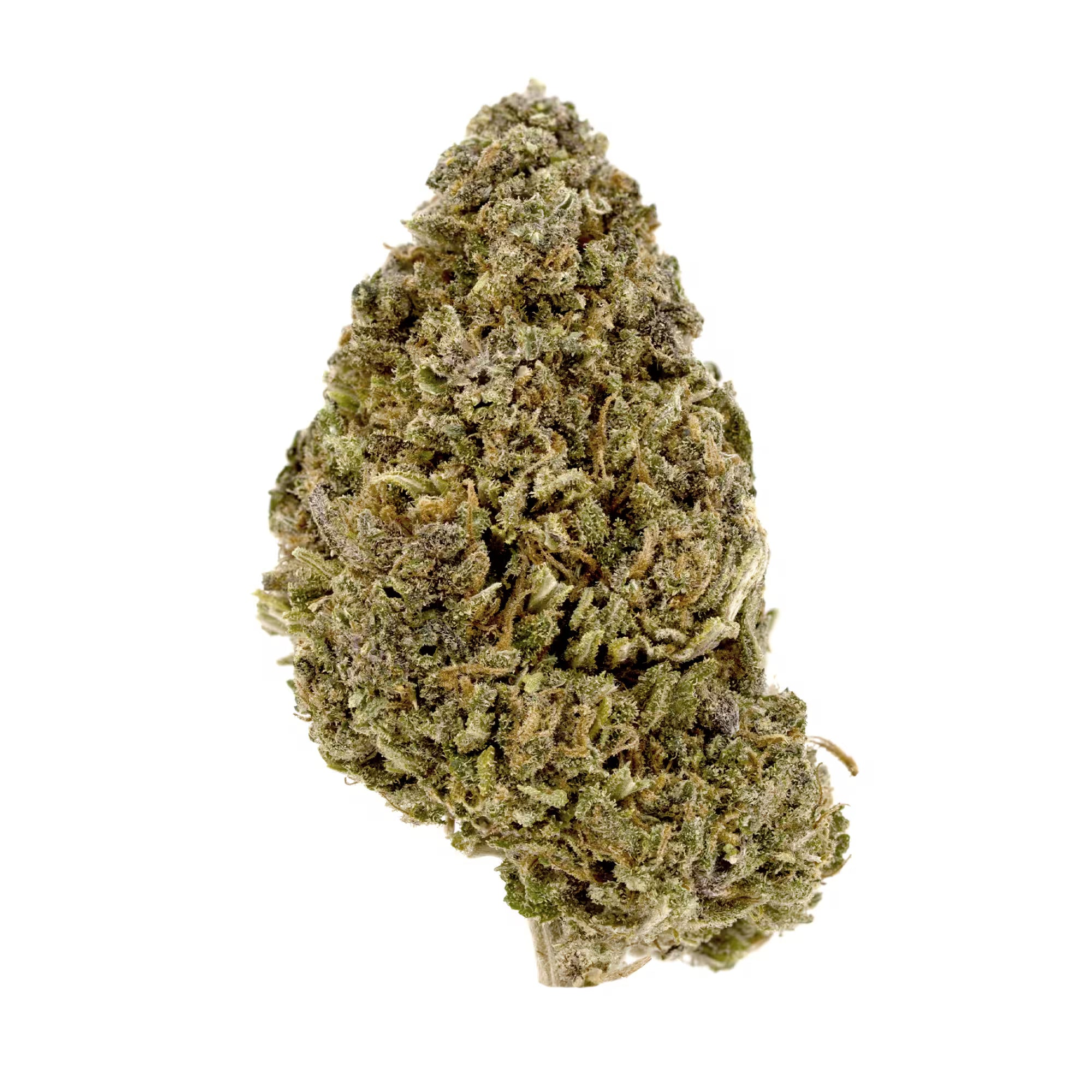 Rainbow Sherbet CBD Flower Sun grown