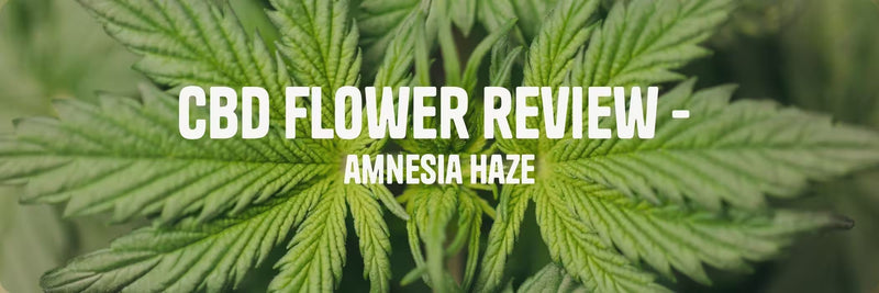 Hemp leaf with white text 'cbd flower review - amnesia haze'.