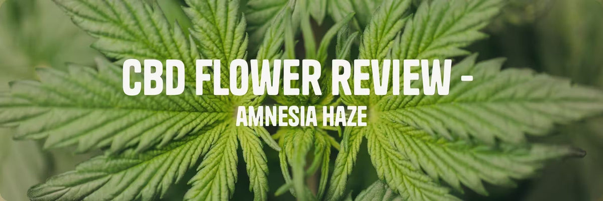 Hemp leaf with white text 'cbd flower review - amnesia haze'.