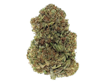 godfather og cbd flower with a white background