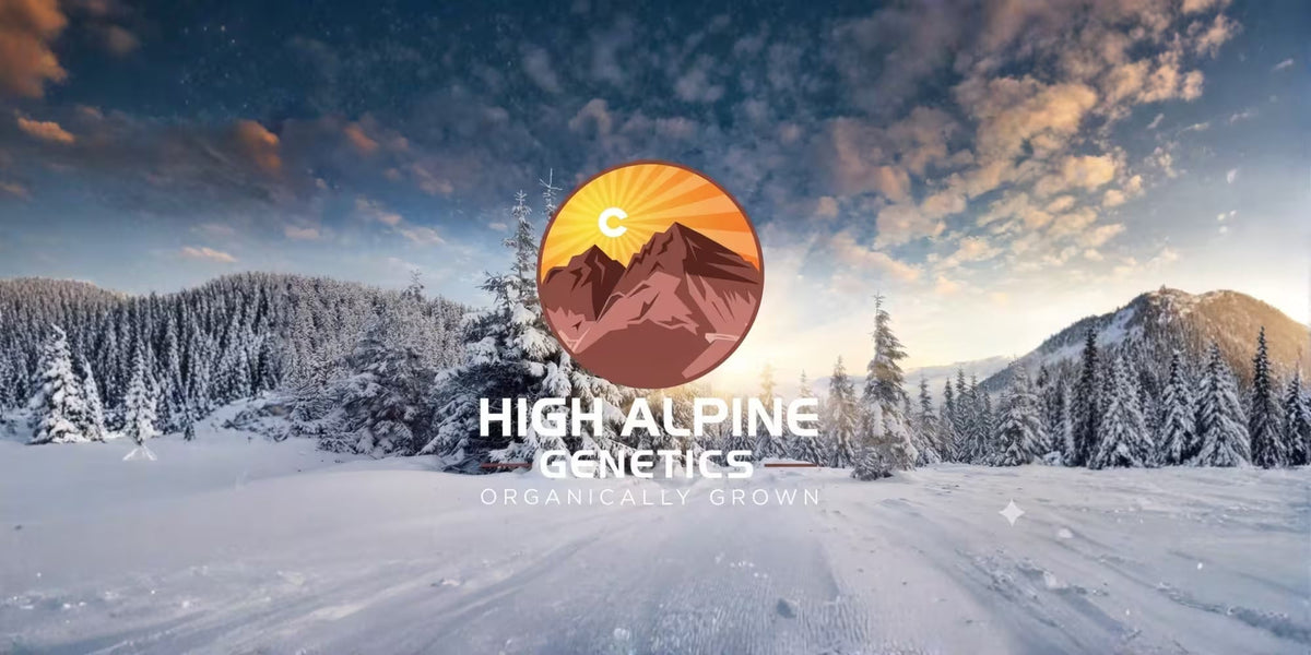 High Alpine Genetics logo on a snowy mountain top with blue skies.