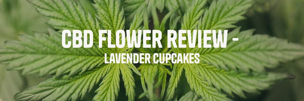 hemp leaf with white text 'cbd flower review - lavender cupcakes'