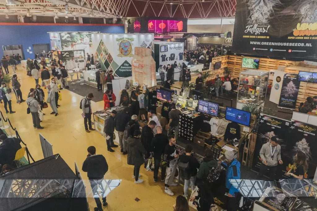 Into the Green: Inside Spannabis 2023 and the Blossoming World of Cannabis Culture