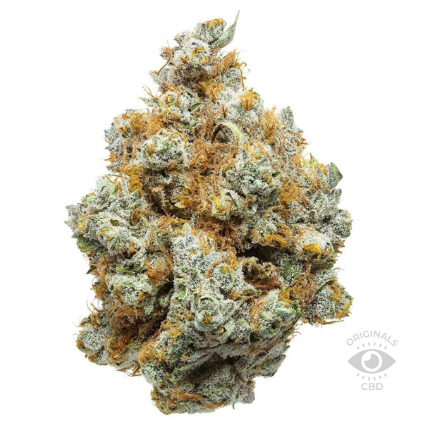 cbg flower on a white background.