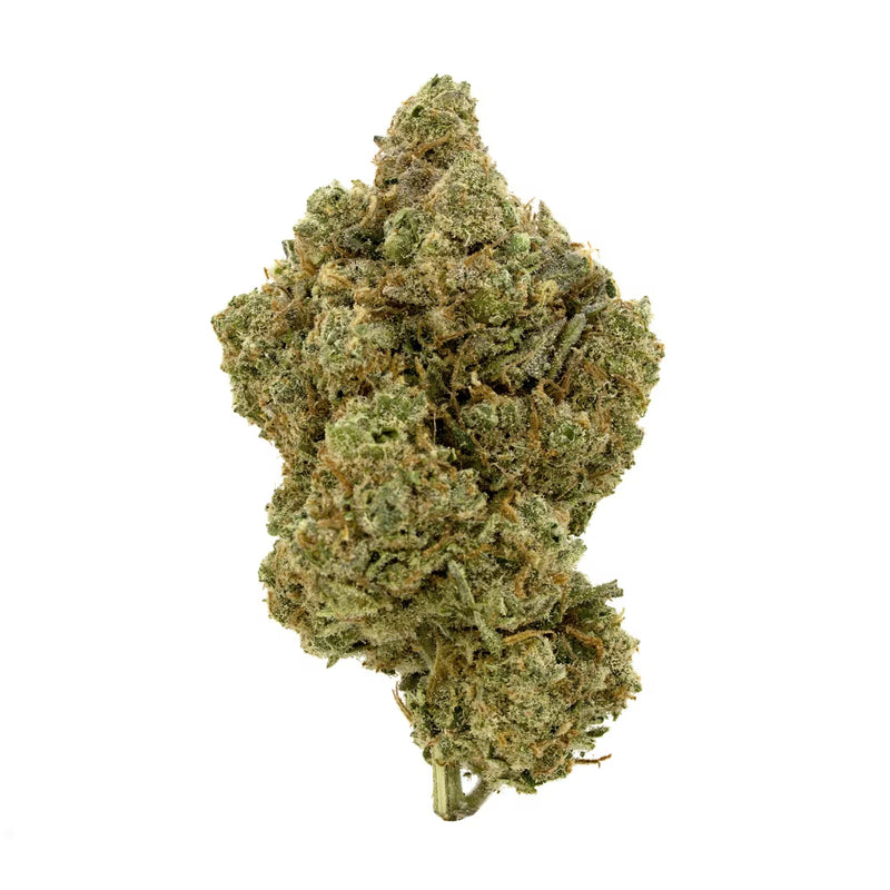 Amnesia Haze CBD Flower on a white background showing great detail.