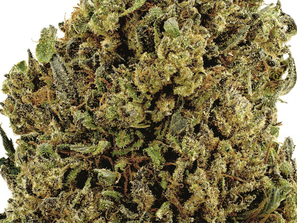 close up shot of bubba kush showing high resolution detail with a with background. 