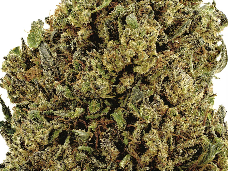 close up shot of bubba kush showing high resolution detail with a with background. 