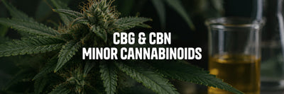 CBG and CBN in 2026: Why Minor Cannabinoids Are Becoming More Important in the CBD Market