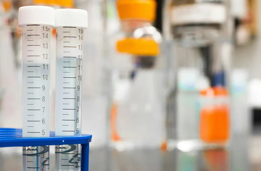 Does CBD Show Up on Drug Tests? What You Need to Know