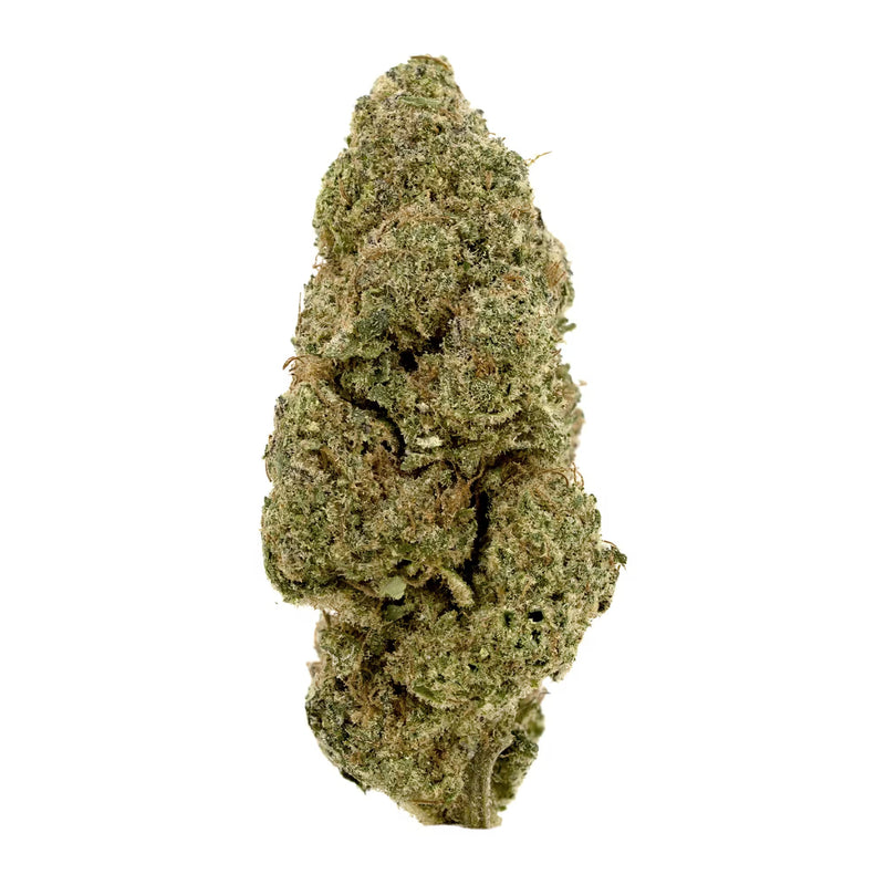 Plutonium CBD Flower on a white background.