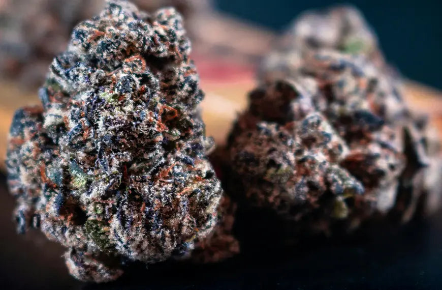 What Is CBD? A Comprehensive Beginner’s Guide