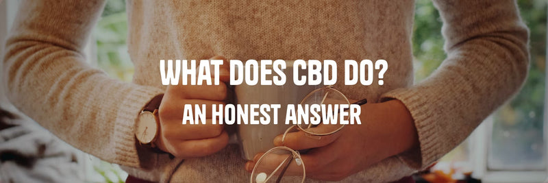 Person holding a warm cup and glasses suggesting calm and wellbeing - What Does CBD Do guide by Originals CBD