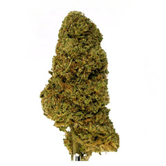 Big Apple Jacks CBD Flower