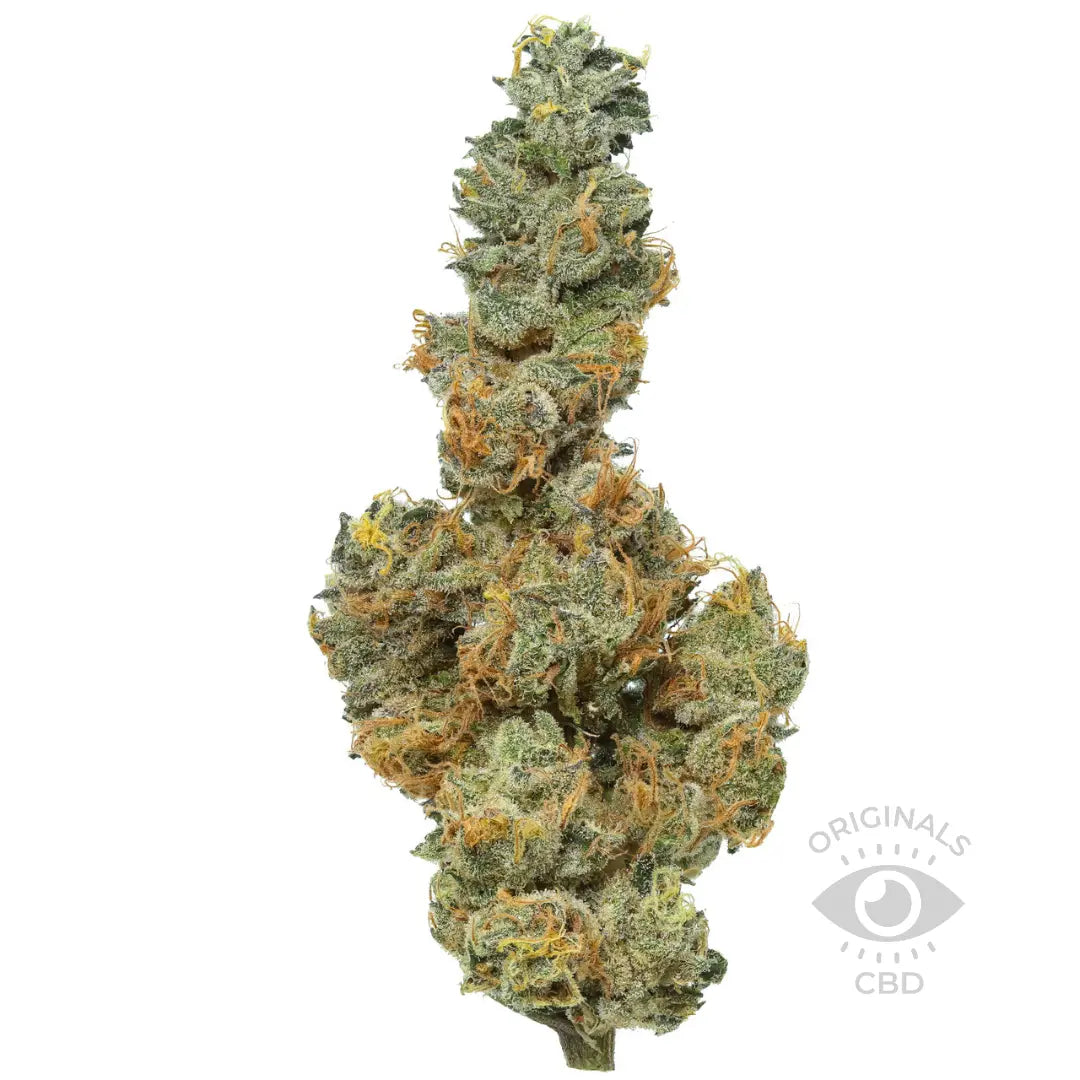 Applesauch CBD flower from the Best CBD Flower Shop in UK