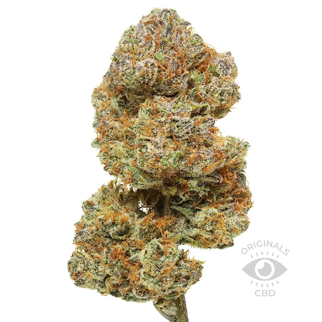 Cakeberry Brûlée CBD flower from the Best CBD Flower Shop in UK