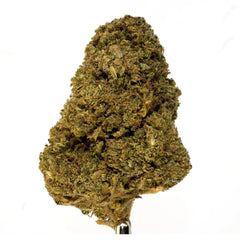 Critical Berries CBD Flower