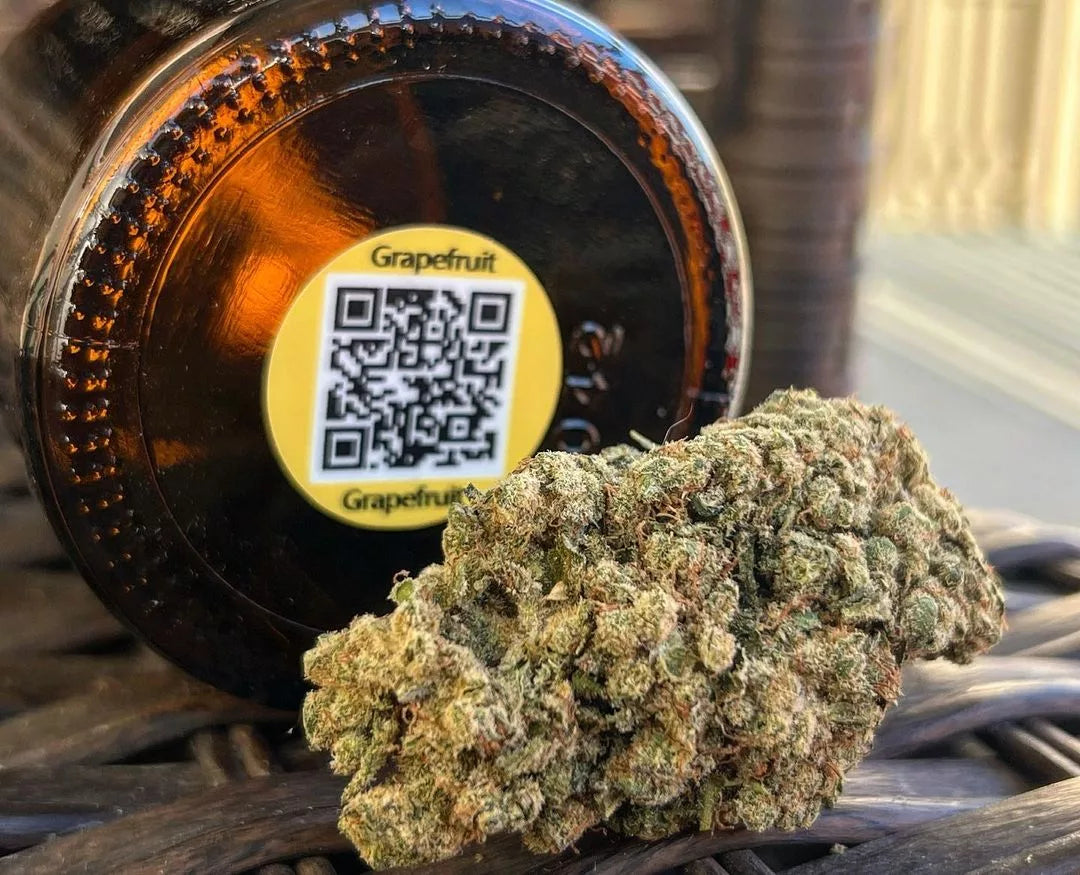 grape fruit CBD flower from the Best CBD Flower Shop in UK