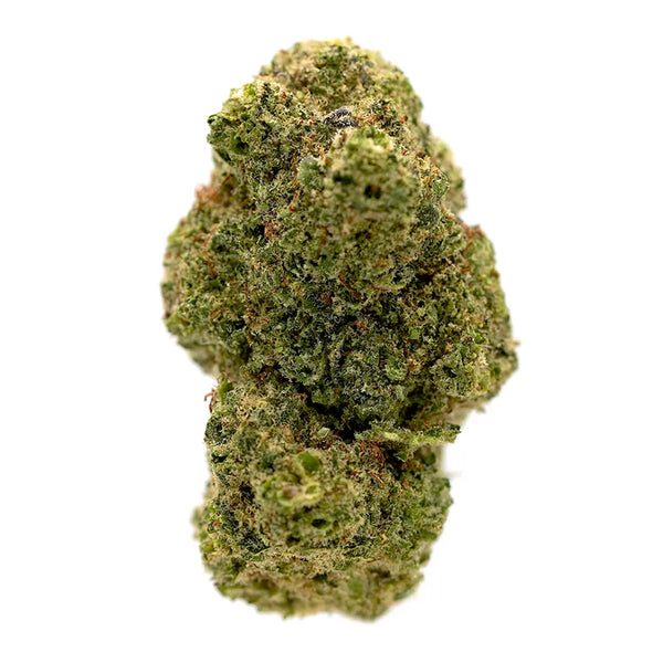 Jungle Juice CBD Hash – Exotic, fragrant, and full of flavour. This unique hash offers a refreshing tropical twist with relaxing CBD effects, exclusively from the OriginalsCBD collection in the UK.