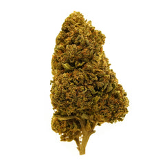 Legendary Banana Mac CBD Flower
