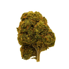 Lemon Cookie Dough CBD Flower