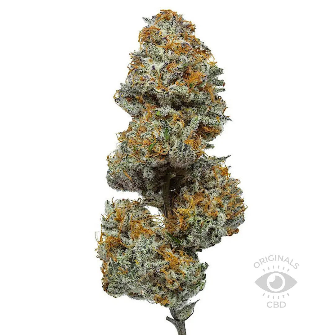 ParadiseOG CBD flower from the Best CBD Flower Shop in UK