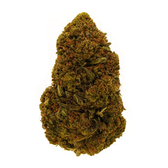 Raspberry Bear Claw CBD Flower