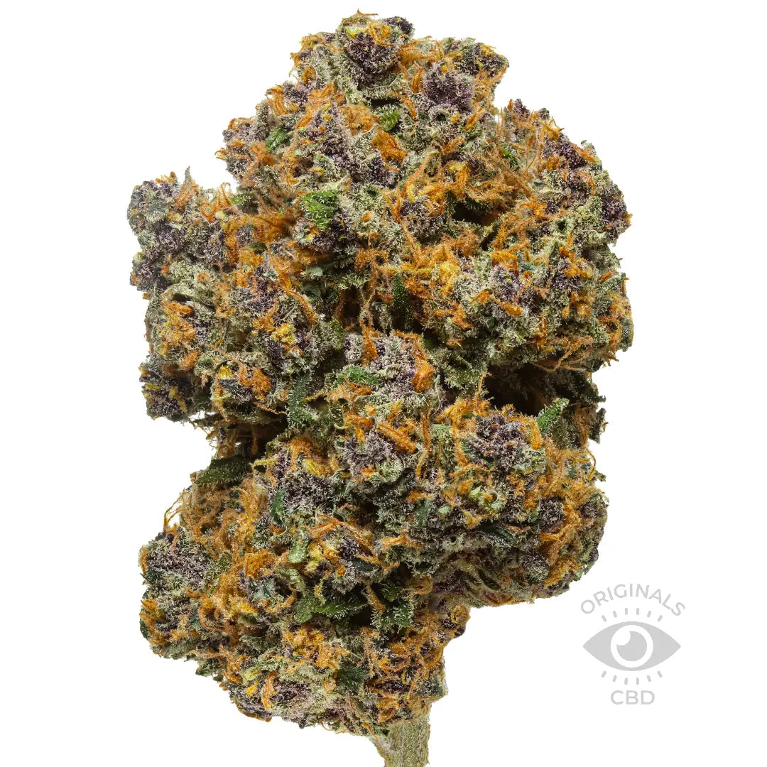 Shaolin Gleaux CBD flower from the Best CBD Flower Shop in UK