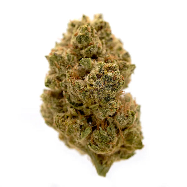 Space Invader CBD Flower – Bold, intense, and deeply soothing. This unique CBD flower delivers out-of-this-world flavour and relaxation, exclusively from the OriginalsCBD premium UK collection.