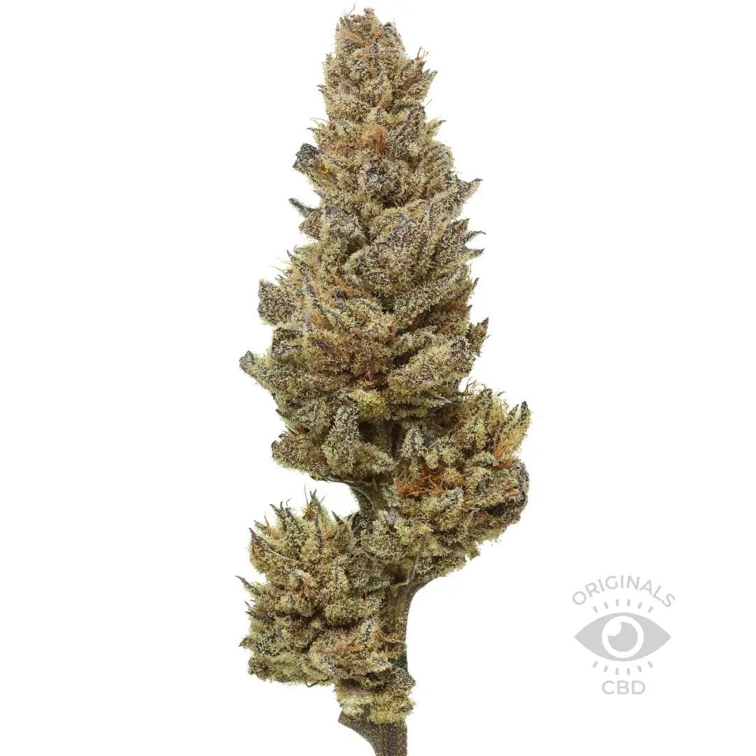 Wild Berries CBD flower from the Best CBD Flower Shop in UK