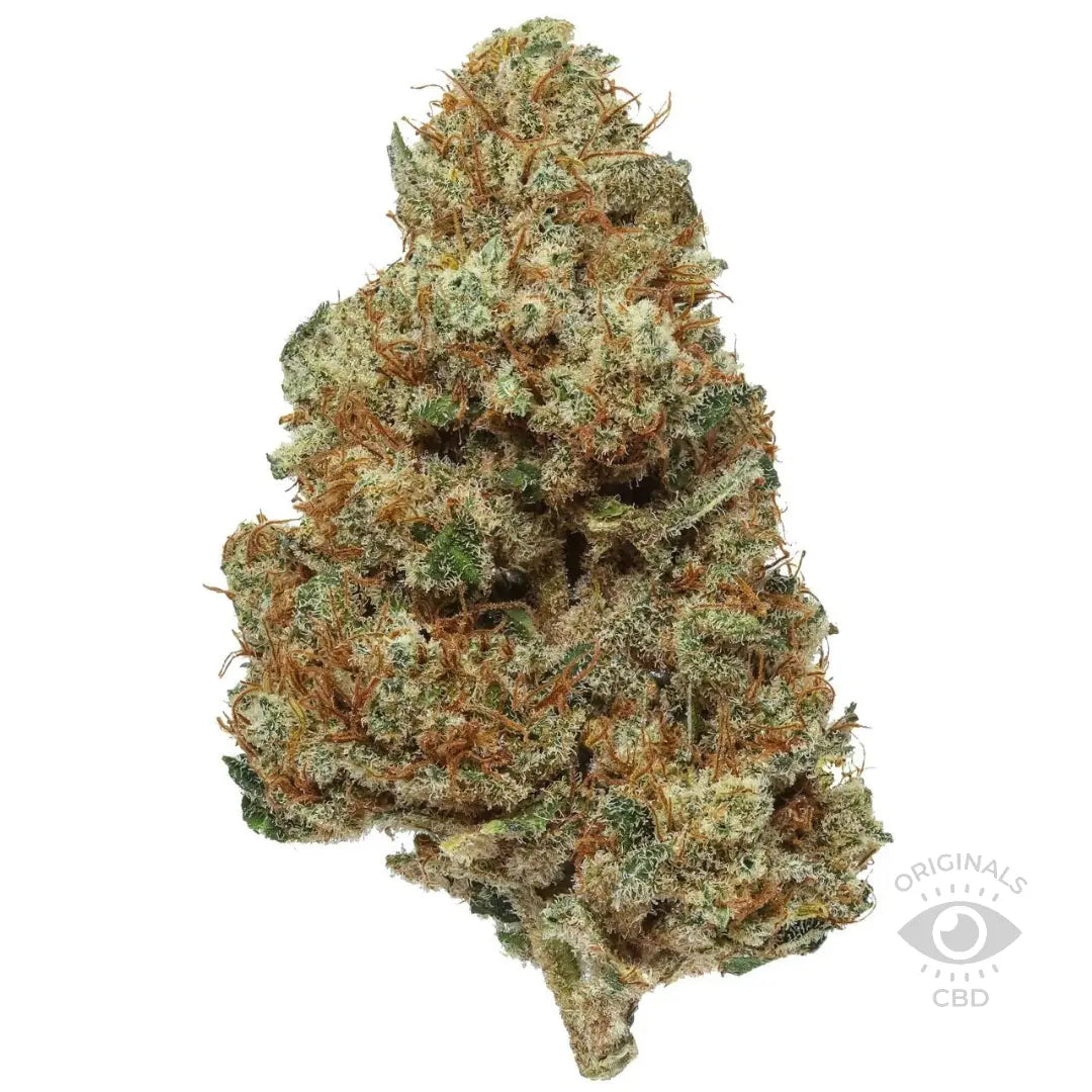 Wipe Out CBD flower Bud from the Best CBD Flower Shop in UK