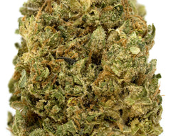 Allium OG CBD Flower