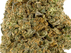 Allium OG CBD Flower Sun grown