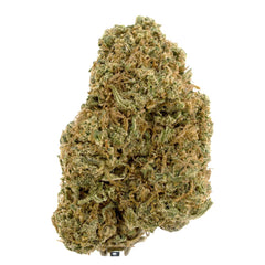 Allium OG CBD Flower Sun grown
